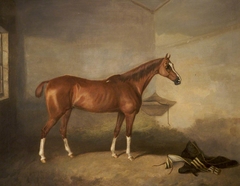 A Chestnut Horse in a Stable by John Boultbee