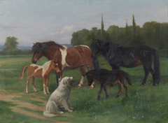 A Collie and Four Ponies by Anthony de Bree