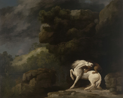 A Lion Attacking a Horse