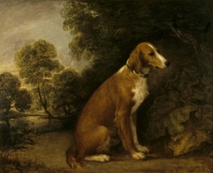 A Setter seated in a Landscape by Thomas Gainsborough