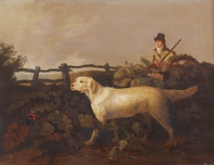 A Sportsman and his Dog
