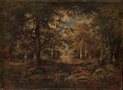 A Vista through Trees: Fontainebleau by Narcisse Virgilio Díaz