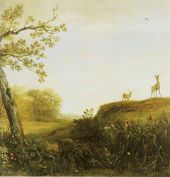 A Wild Boar in a Landscape