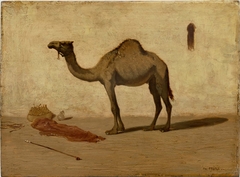 Camel by Théodore Frère