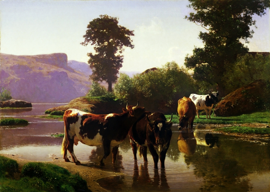 Cattle by a Lake
