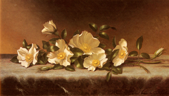 Cherokee Roses on a Light Gray Cloth by Martin Johnson Heade