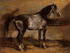 Cheval gris au ratelier by Théodore Géricault