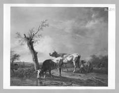 Cows with shephed in a landscape