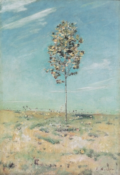 Die kleine Plantane by Ferdinand Hodler