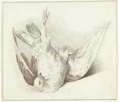 Dode duif by Jean Bernard