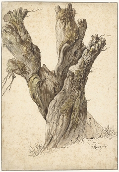 Een knotwilg by Johann Heinrich Roos