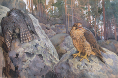 Falcons in the Forest by Eero Järnefelt