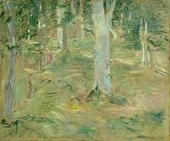 Forêt de Compiègne