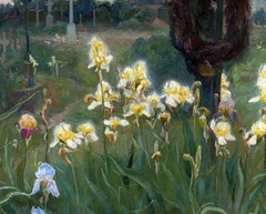 Irises in the cemetery. by Maksymilian Neuman