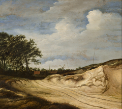 Landscape with the Dune by Guillam Dubois