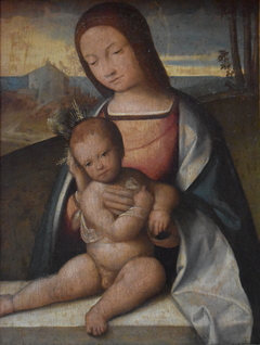 Madonna and Child (855.3.9) by Benvenuto Tisi