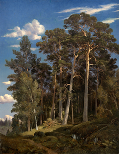 Pine Forest by Ivan Shishkin