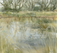 Pond FarmED Oxfordshire. Natural Flood prevention. Regenerative farming.