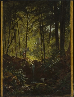 Stream in the Forest near Plombières