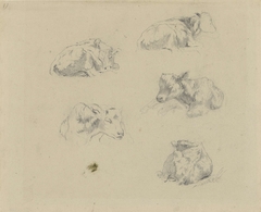 Studies van koeien by Albert Gerard Bilders