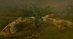 Study of a Branch with Fine Leaves by Théodore Rousseau
