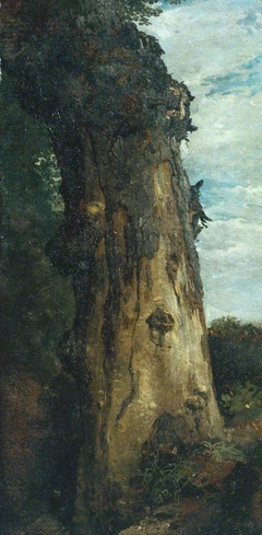 Study of a Tree (‘Study from Nature’) by John Linnell