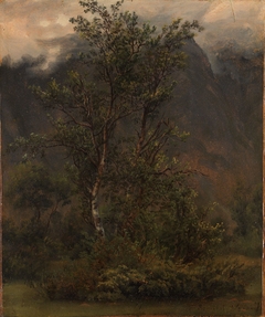 Study of Birches in Romsdal by Thomas Fearnley