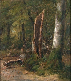 Study of Trees by Johan Gørbitz