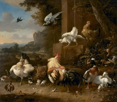 The poultry yard