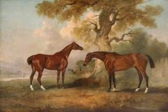 Two Hunters called 'Rufus' and 'Leporello' by John Ferneley