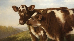 Two Shorthorn Calves by Henry Hetherington Emmerson