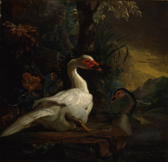 Uitheemse vogels in een parkachtige omgeving by Abraham Busschop