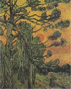 Pine with female figure in the sunset