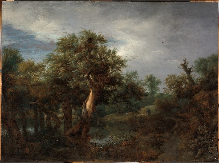 Wooded Landscape with an Old Oak