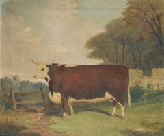 A Prize Bull by a Gate by Richard Whitford