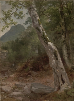 A Sycamore Tree, Plaaterkill Clove
