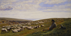 Among the Southdowns by Friedrich Wilhelm Keyl
