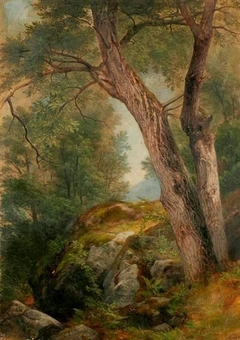 Butternut Tree at Hague, Lake George, New York by Asher Brown Durand