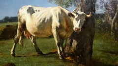Cow rubbing by Constant Troyon