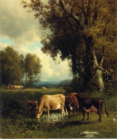 Cows in the Meadow by William Hart