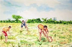 cultivation by Charles Dey