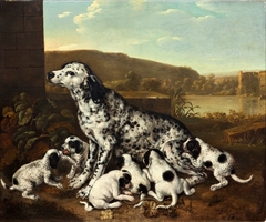 Dalmatian dog with puppies by Pieter van der Hulst