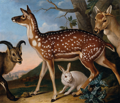 Damwild, Steinbock und Hase by Philipp Ferdinand de Hamilton