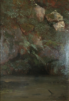 Ferns and Rocks on an Embankment