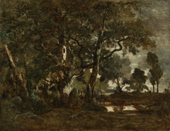 Forest of Fontainebleau, Cluster of Tall Trees Overlooking the Plain of Clair-Bois at the Edge of Bas-Bréau by Théodore Rousseau