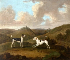'Harlot' and 'Rachel', a pair of hounds by Francis Sartorius