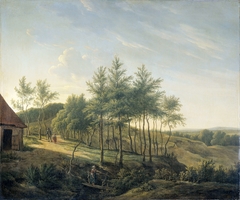 Hilly Landscape by Gerrit Jan Michaëlis