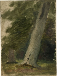 Leaning Tree by William Howis junior