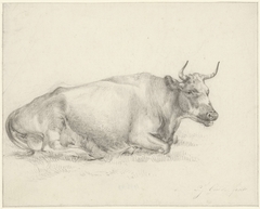Liggende koe, naar rechts by Pieter Jan Guise