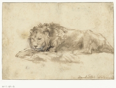Liggende leeuw by Rembrandt